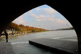 زاینده رود میزبان پرندگان مهاجر - اصفهان